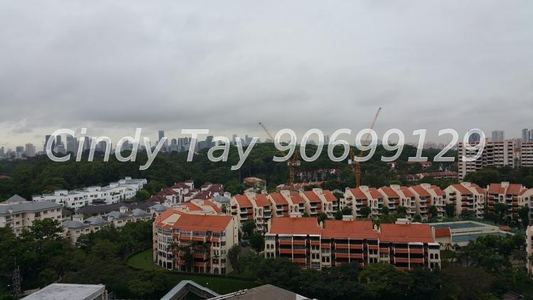 D'Leedon thumbnail photo